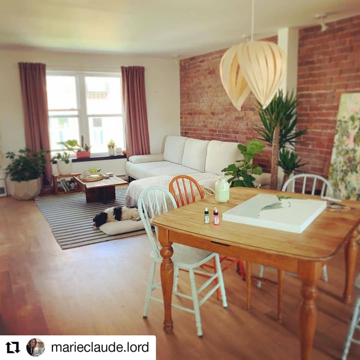 Lampe noisette #1 / merisier blanc