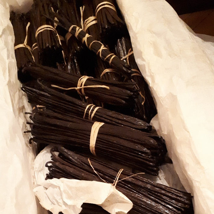 Les gousses de vanille du mexique (25 g)
