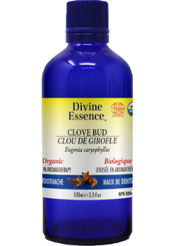 Divine essence - clou de girofle bio.