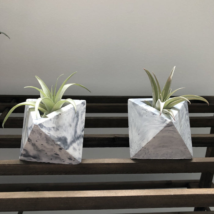 Pot lolite triangulaire en béton pour les tillandsias mimipots