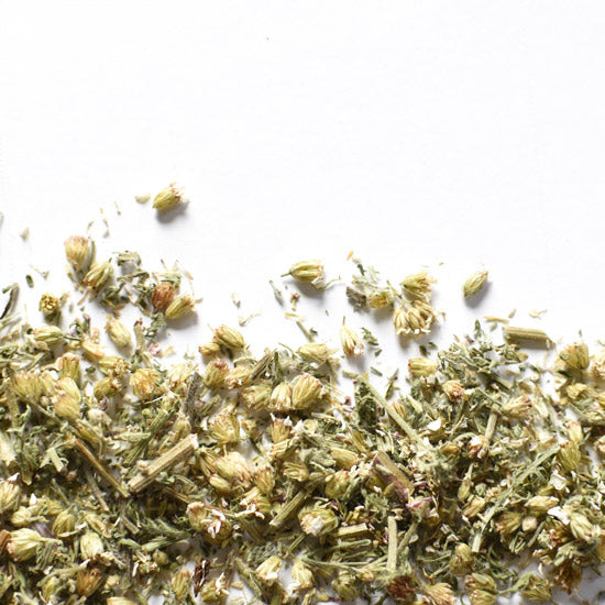 Achillée de millefeuille