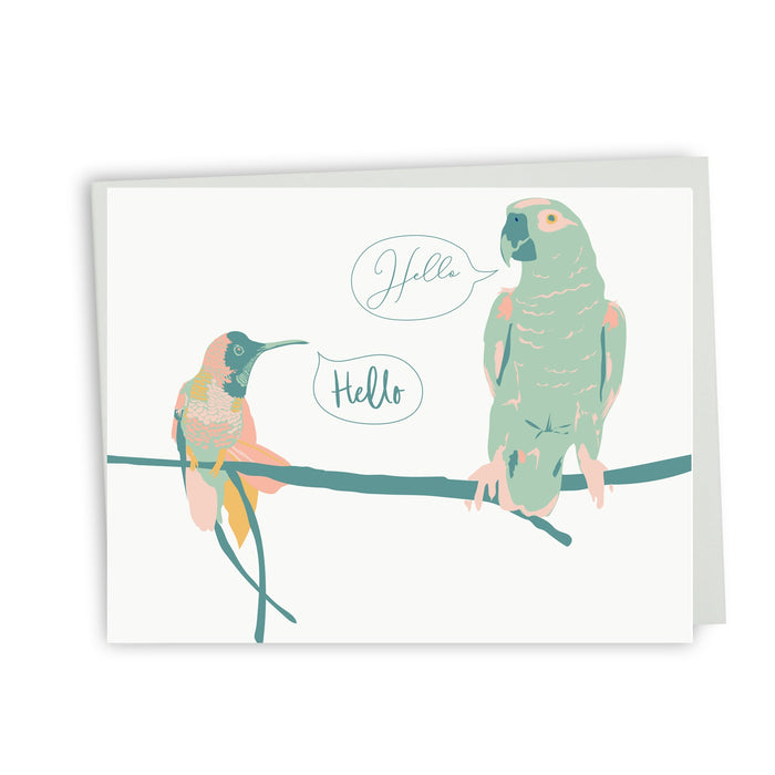 Bonjour - oiseaux exotiques