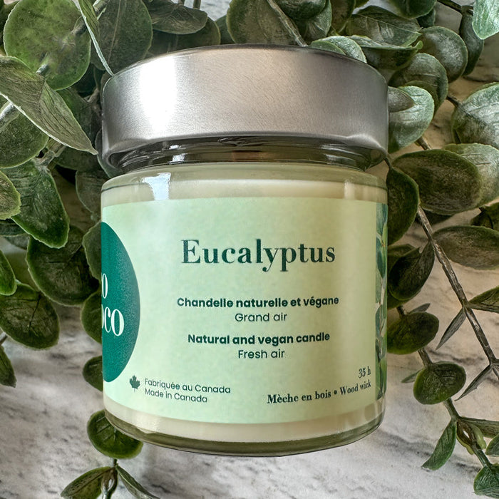 Chandelle naturelle et végane eucalyptus 35 heures