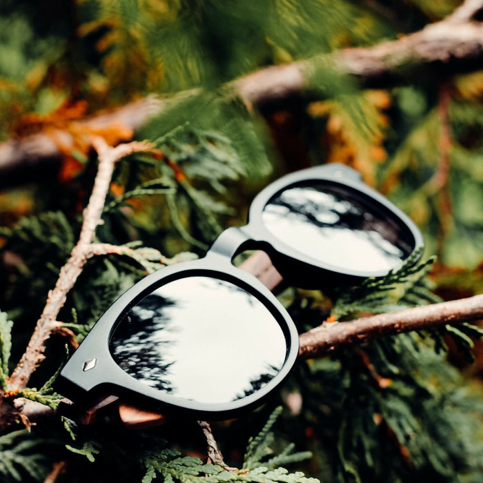 LB-walnut-outdoors6-1500sq