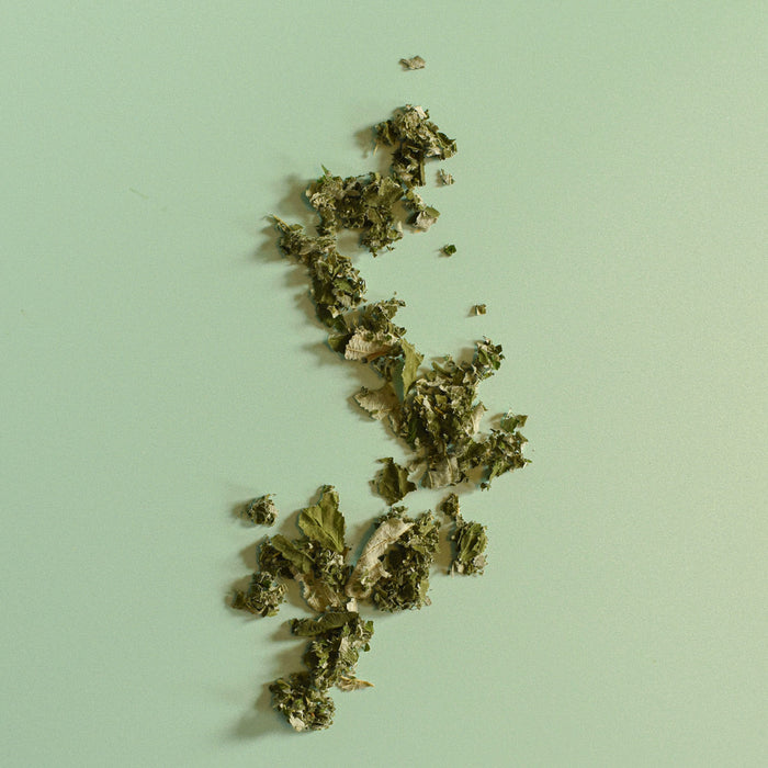 Feuilles de fraimboisier séchés à plat