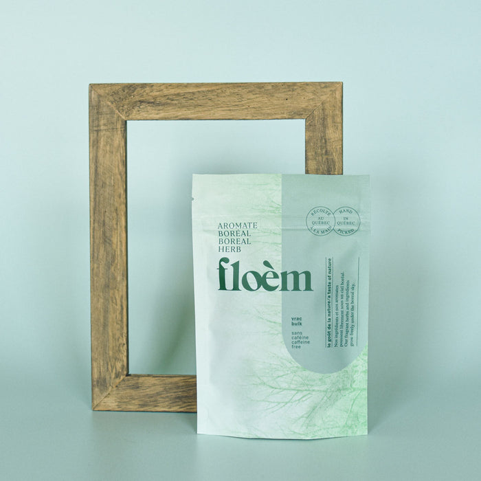 Achillée de millefeuille