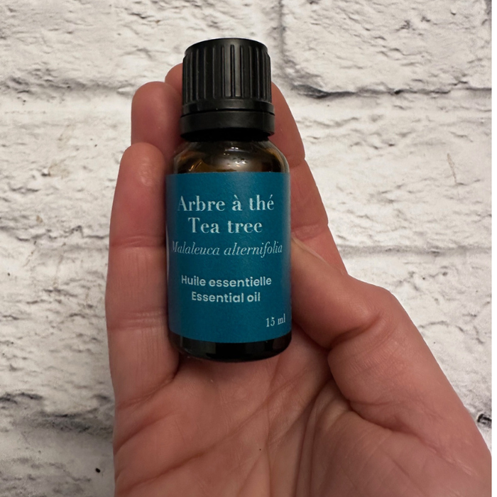 Flacon de 15 ml d'huile essentielle d'arbre à thé tenu dans une main au dessus de la brique blanche