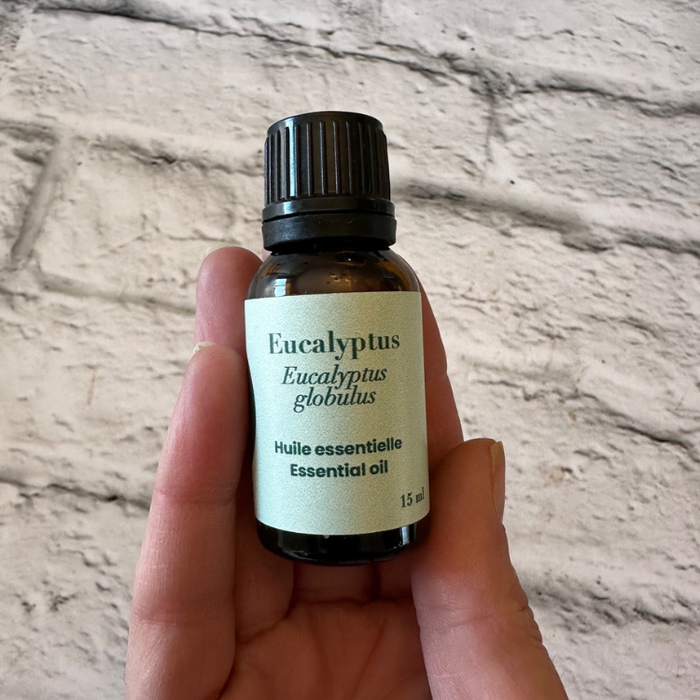 Petite bouteille d'huile essentielle d'eucalyptus globulus tenue dans une main