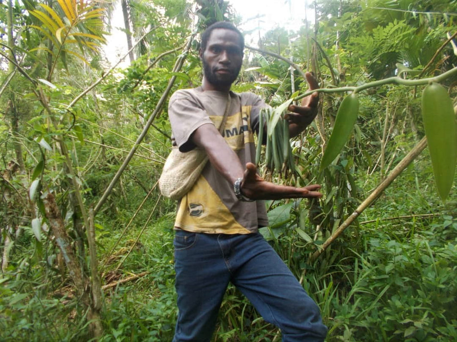 Pâte de vanille de type tahiti de papouasie nouvelle guinée (110ml)