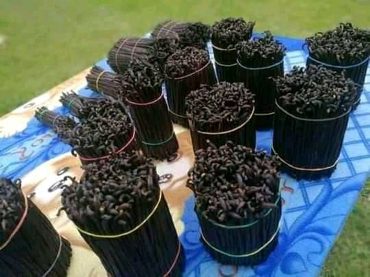 Pâte de vanille de type tahiti de papouasie nouvelle guinée (110ml)