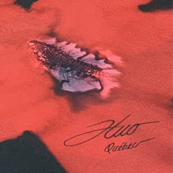 Foulard carré de soie noir fleurs rouges - Soierie Huo