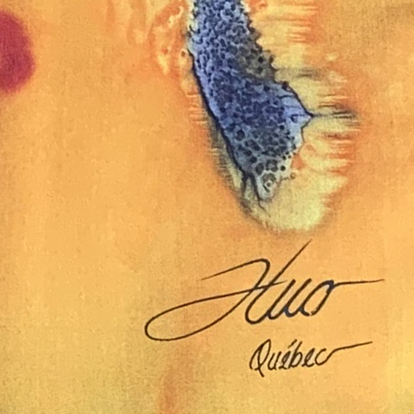 Écharpe en soie noire multicolore - Soierie Huo