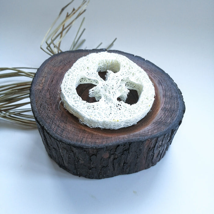 SAVONNIERS - porte savon en bois tourné - Soap Dish - Calypso Éco-savonnerie