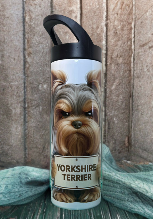 CCA05CA3-3B68-47FF-8298-0468249A76CE