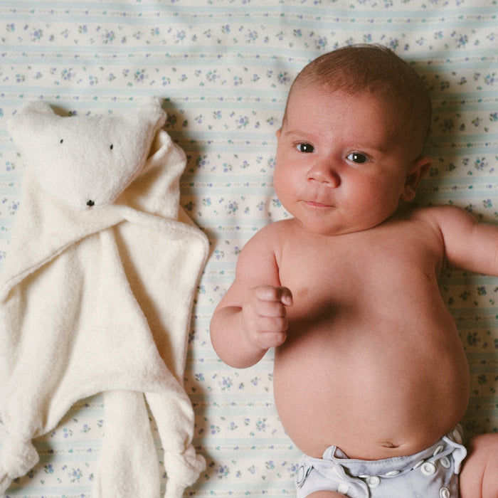 Doudou renard polaire, coton biologique