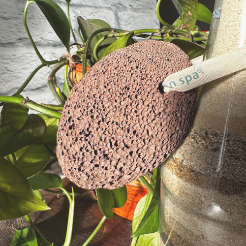 Pierre ponce naturelle brune accroché sur une bouteille remplie de sable et avec un arrière plan d'une plante