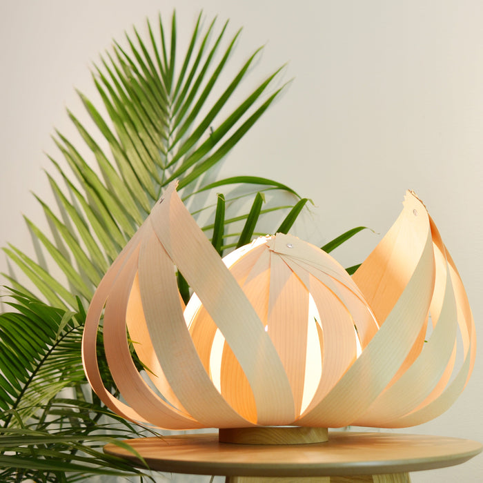 Sol / large / érable