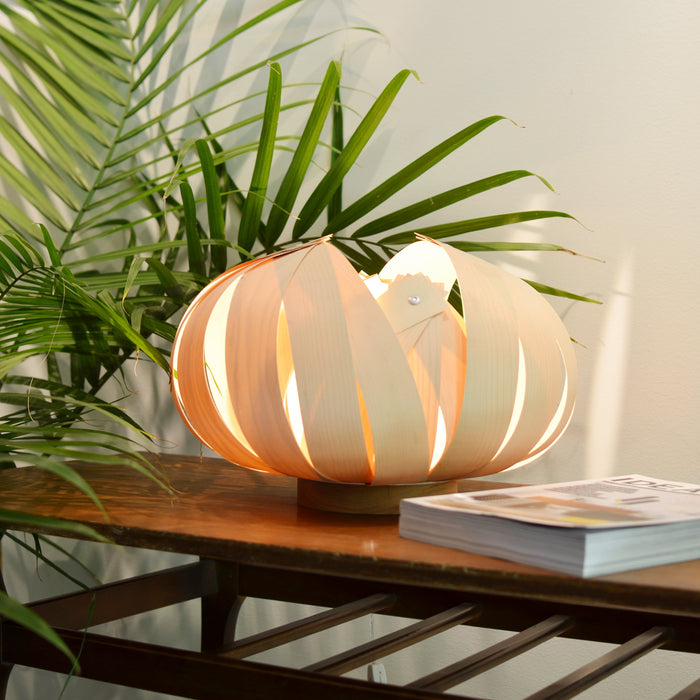 Sol / petite / érable