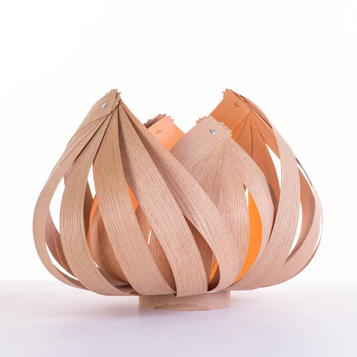 Sol / large / chêne