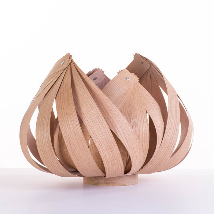 Sol / large / chêne