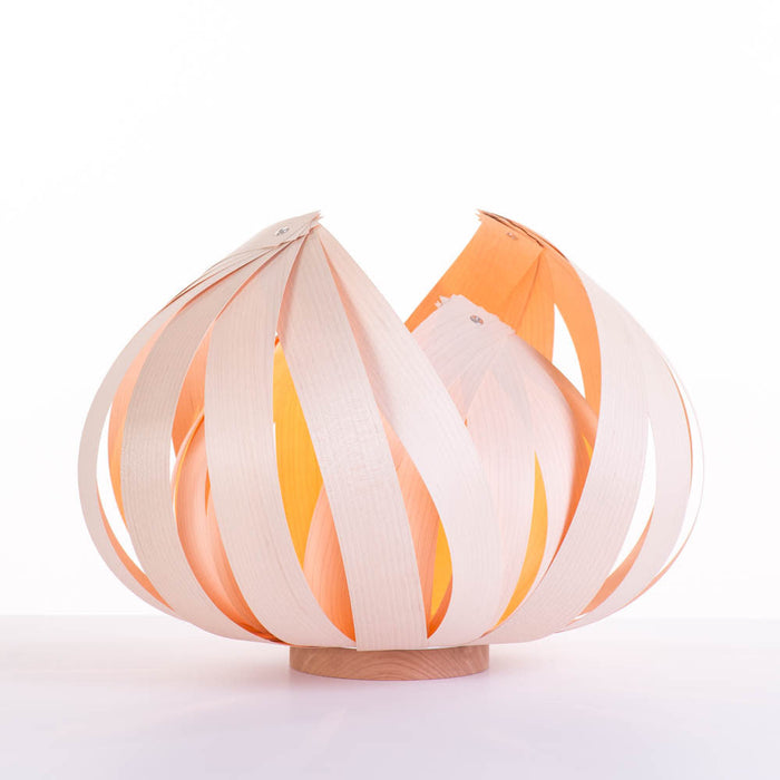 Sol / large / érable