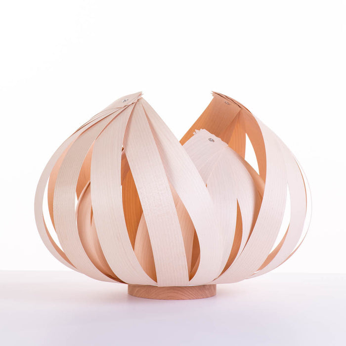 Sol / large / érable