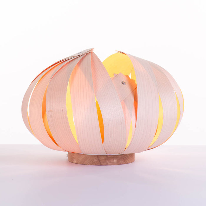 Sol / petite / érable