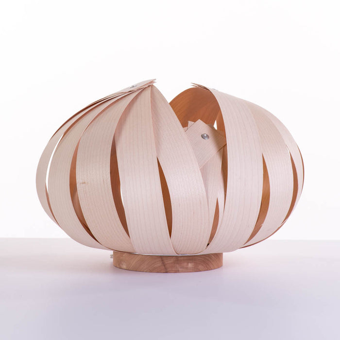 Sol / petite / érable