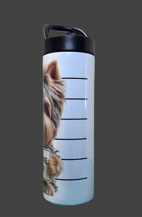 C00CEA1B-87F5-455B-AC5E-76F10262AF44