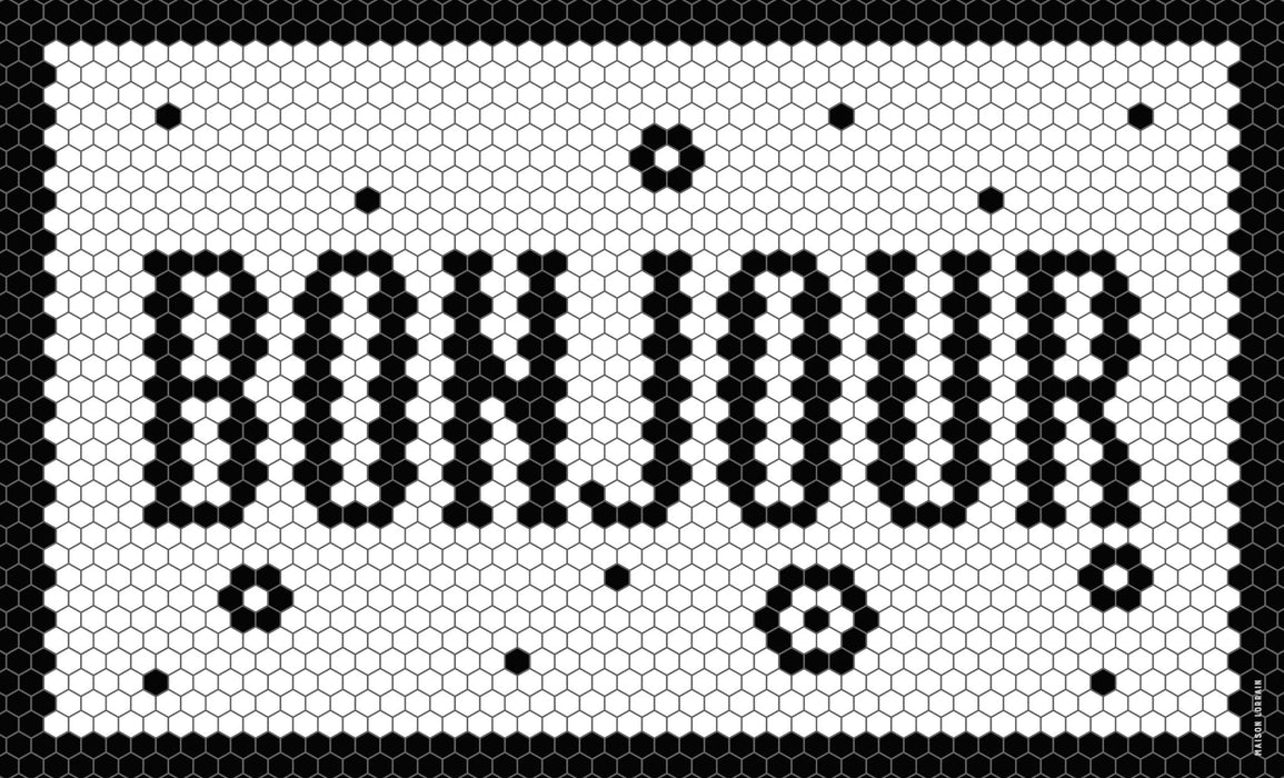 Tapis de vinyle - vinyl carpets