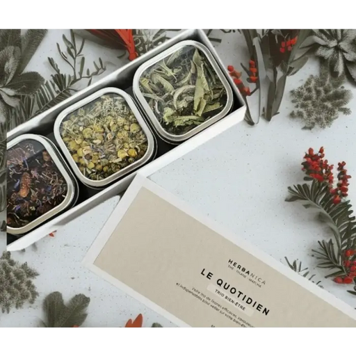 BOÎTE À TISANES LE QUOTIDIEN - LE QUOTIDIEN - boîte à