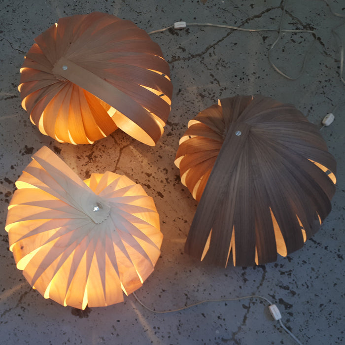 Caracol / merisier rouge