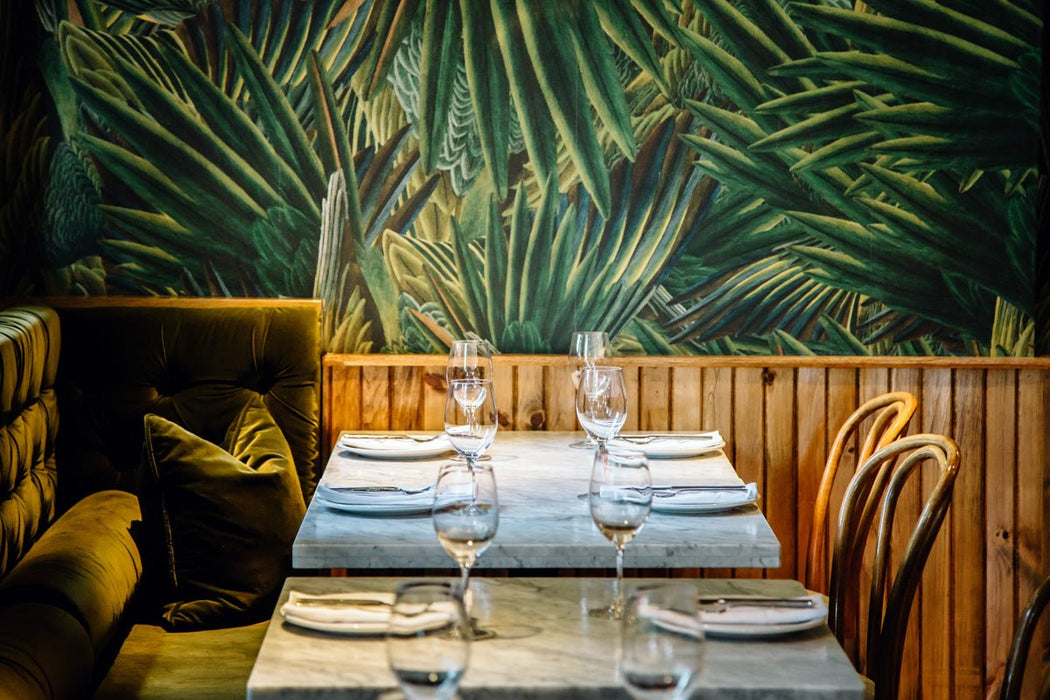 Papier peint carolina parakeets