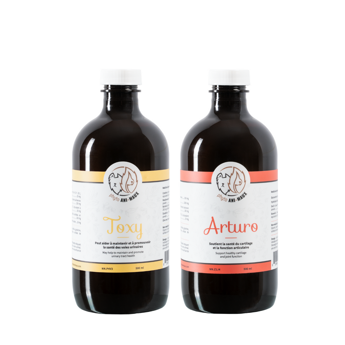 Combo articulations saines ( toxy, arturo)