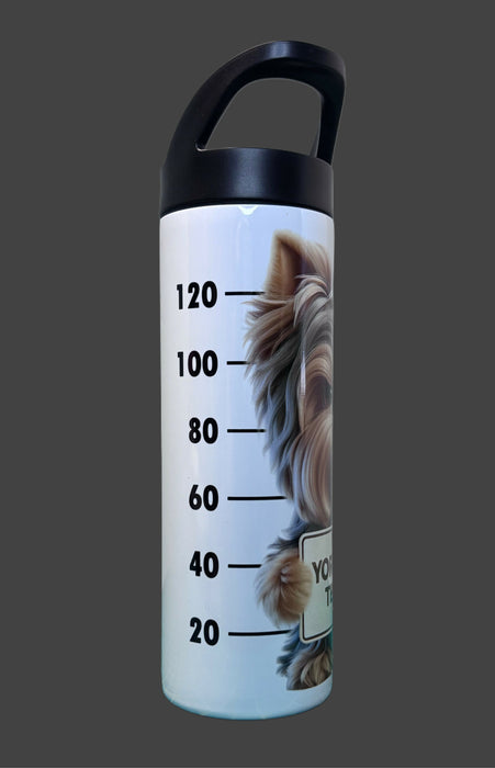 6ABBBC8D-CA0B-46F8-9409-B7A8F1081DB5