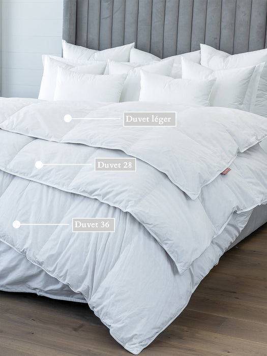 Couette en Duvet Blanc (36) - hiver - Dolce & Bianca 