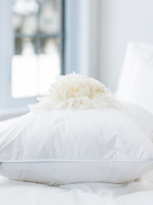 Sac de plumes pour l'oreiller Bia naturel - Dolce & Bianca 