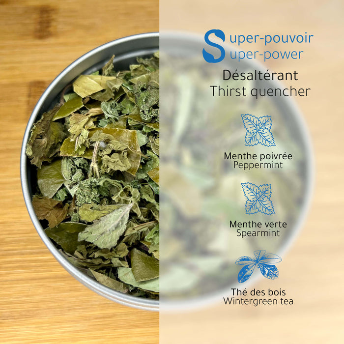 Fragment d'iceberg - tisane fraîche