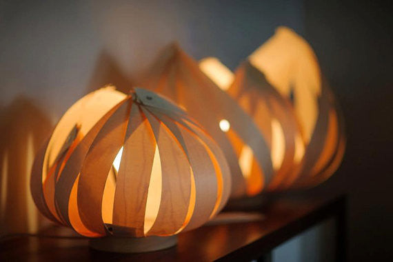 Sol / petite / érable