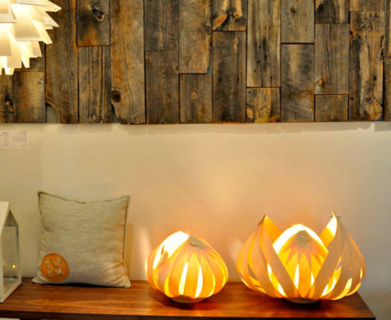 Sol / petite / érable