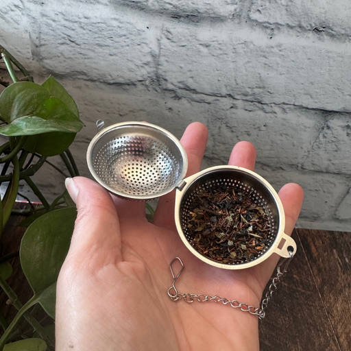 Infuseur pour thé en acier inoxydable dans une main avec un fond de brique et de plante