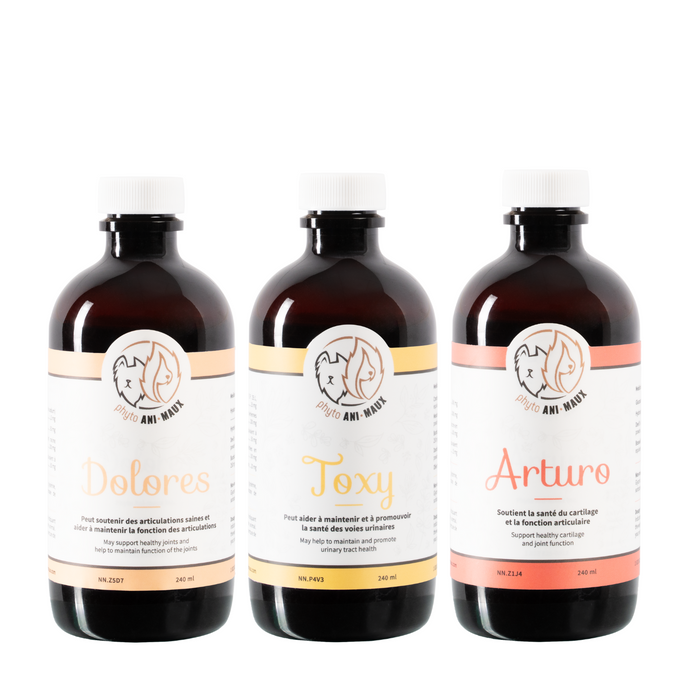 Dolores (douleur pour chien et chat)