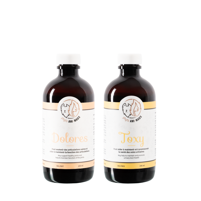 Dolores (douleur pour chien et chat)