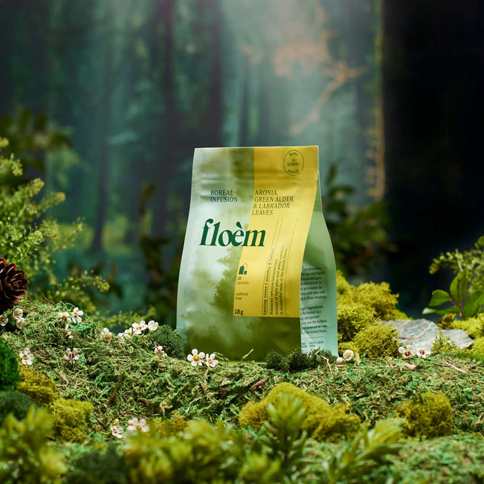 Tisane en sachets - Aronia, aulne & feuilles du Labrador - Tisane - Floèm