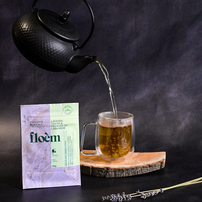Tisane en sachets Thuya, Lavande & feuilles du Labrador - Tisane - Floèm