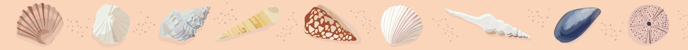 Washi tape - coquillages