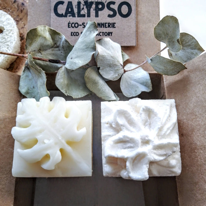 Coffret - shampoing jasmina & revitalisant solides - cheveux brillants