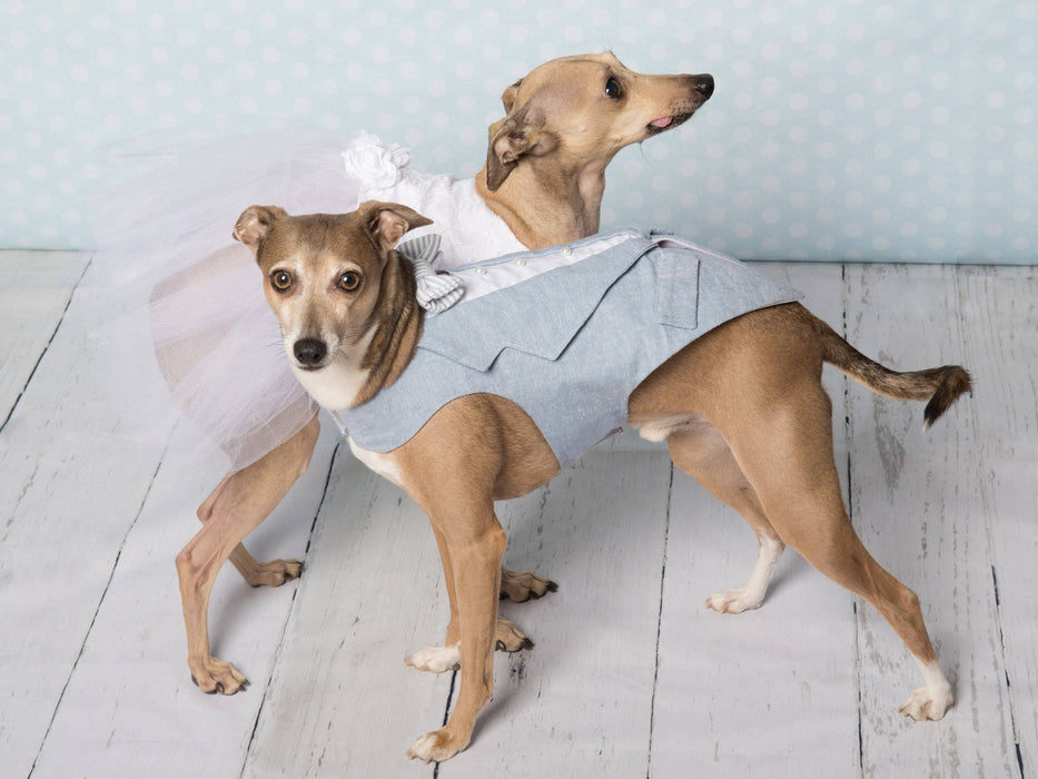 Toxedo bleu poudre et blanc en lin & coton pour chien pour anniversaire, mariage, fête ou autre occasion