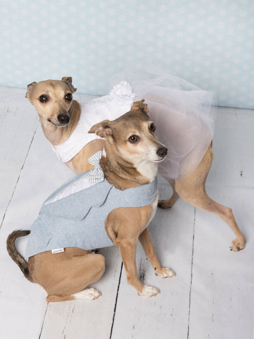 Toxedo bleu poudre et blanc en lin & coton pour chien pour anniversaire, mariage, fête ou autre occasion