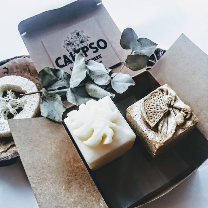 Coffret - shampoing goji & revitalisant solides - cheveux bouclés